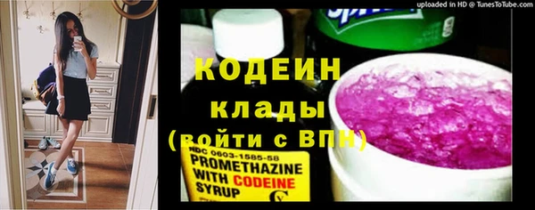 молекула духа Алзамай